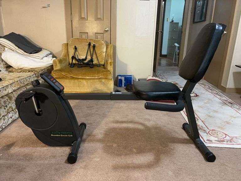 Kathy Ireland Recumbent Exercise Cycle (see descrip) image