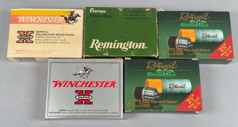 Assortment of 20 Ga. Slugs image