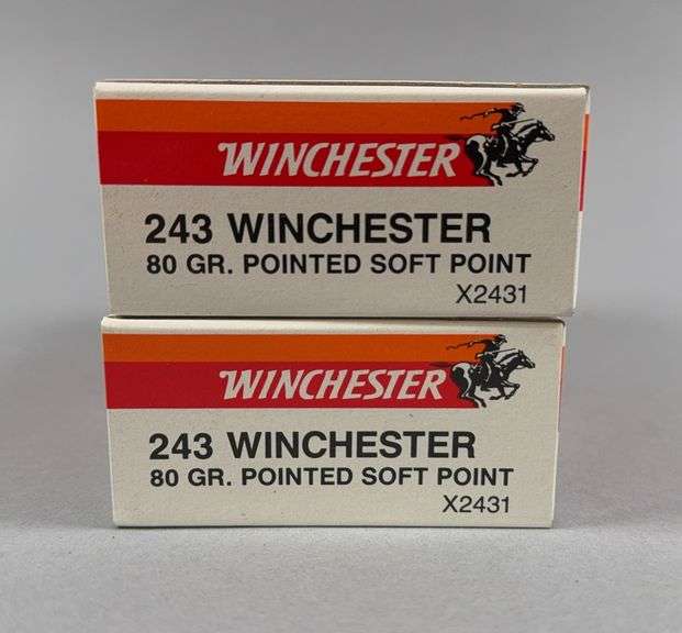 Winchester Super X 243 80Gr Centerfire Rifle Cartridges, 40 Count image