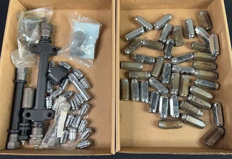 Lug Nuts & Assorted Parts (2 Flats) image