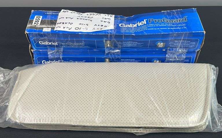 Gabriel ProGuard Shock Absorbers image