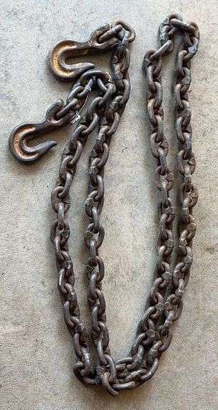 10FT 3/8” Log Chain image