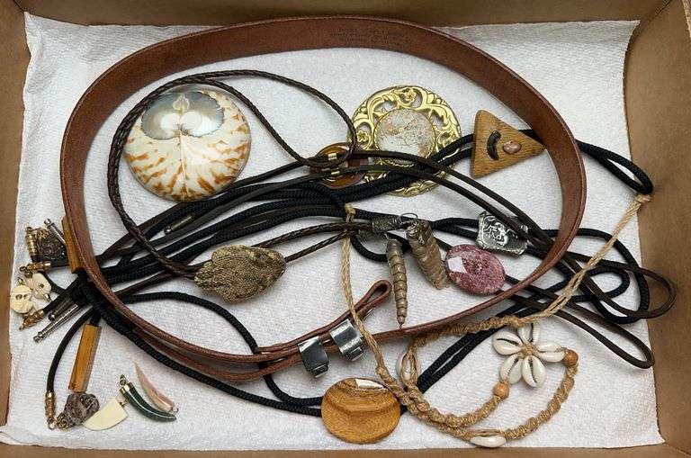 Rattle Snake & Assorted Bolo Ties image
