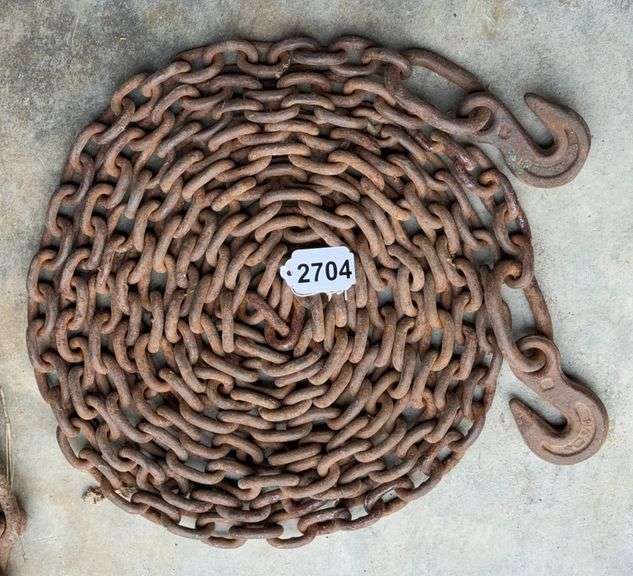 18ft 5/16 Log Chain image