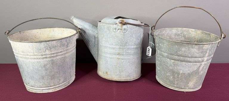 Galvanized Buckets & Plant Waterer image