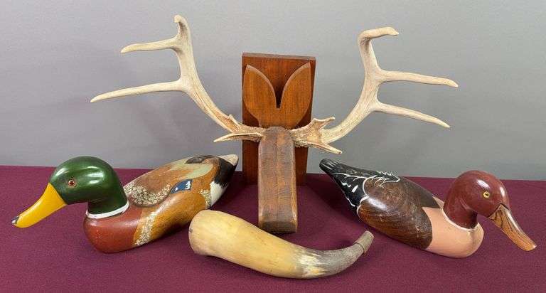 Ducks, Antler Mount, & Powder Horn image