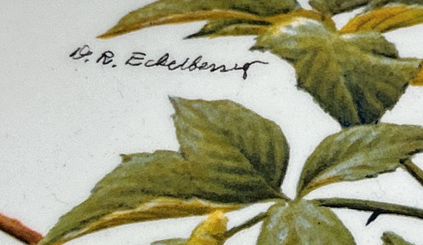 Lot image 4