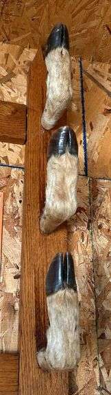 Deer Leg Gun Rack