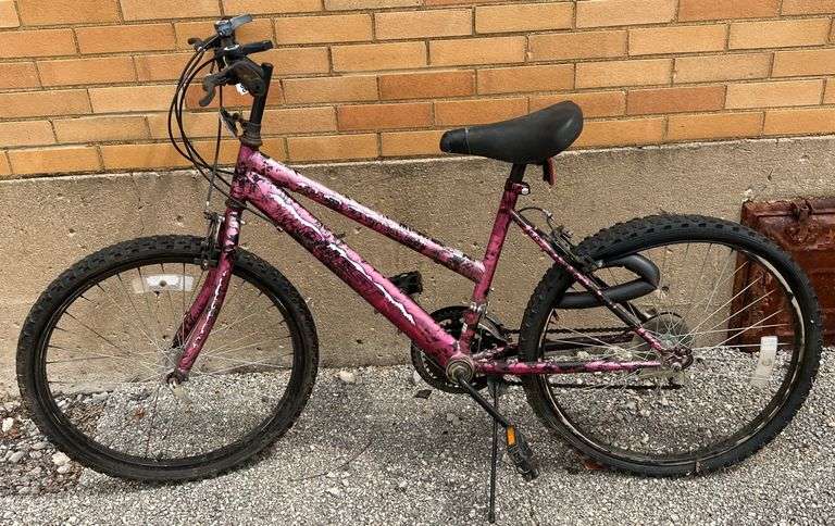 Quest Elevation 15 Speed Bike