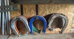 Assortment of Horseshoes & Stakes