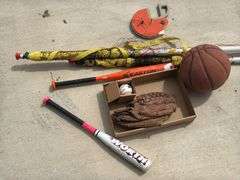 Volleyball Net, Baseball Supplies, & Assorted Items