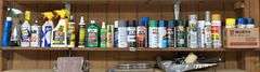 Spray Paint, Car Cleaning Supplies, & Shelf Contents