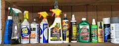 Spray Paint, Car Cleaning Supplies, & Shelf Contents