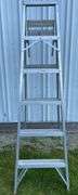 EasyLight Aluminum 6ft Ladder
