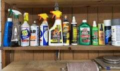 Spray Paint, Car Cleaning Supplies, & Shelf Contents