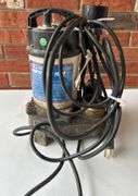 Barracuda Sump Pump