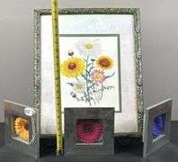 Floral Hanging Images