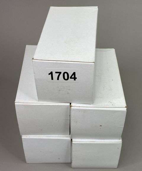 Reloaded 5.56 Ammo (250 Rounds) image