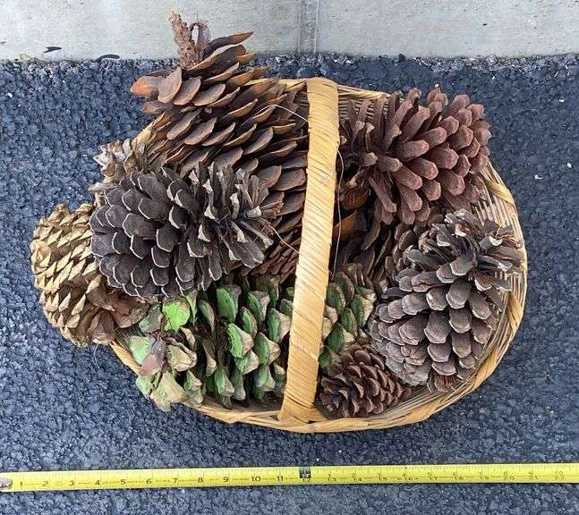 Twig Shelf, Weaved Basket, & Decorative Pine Cones