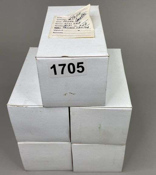 Reloaded 5.56 Ammo (250 Rounds) image