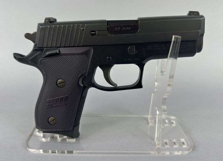 Sig Sauer  .45 ACP  P220  G407254 image
