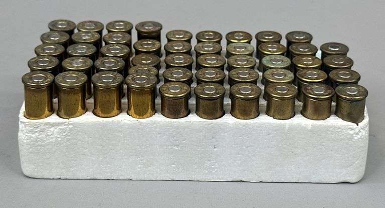 Mixed 44 S&W Special (49 Rounds)