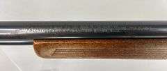 Glenfield   .22 LR  Model 60  22469623