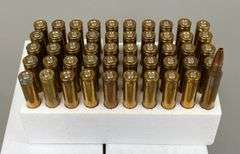 Reloaded 5.56 Ammo (250 Rounds)