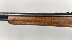 Glenfield   .22 LR  Model 60  22469623
