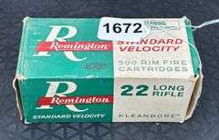 Remington .22 LR (500 Rounds)