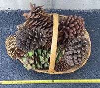 Twig Shelf, Weaved Basket, & Decorative Pine Cones