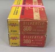 Winchester Silvertip 300 Savage 150 Gr. (2 Boxes)