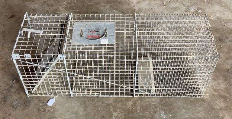 Live Trap image