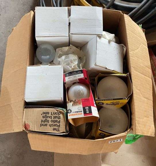 Box of Light Bulbs image
