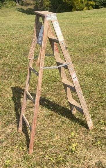 Werner 5 Foot Ladder image