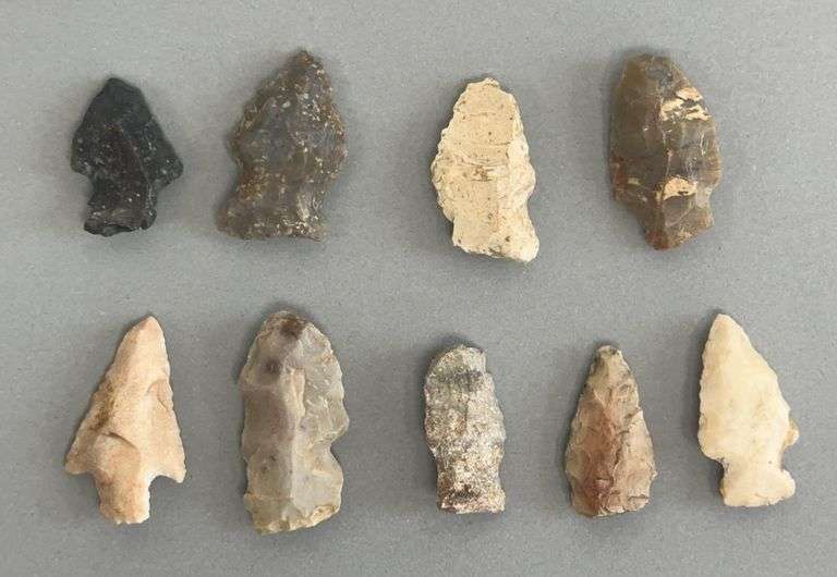 (9) Bird Points image