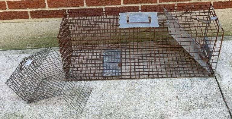 Large Raccoon Live Trap & Small Wire Cage image