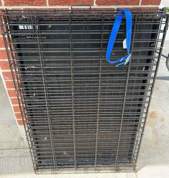 XLarge Dog Crate with Blue Collar image