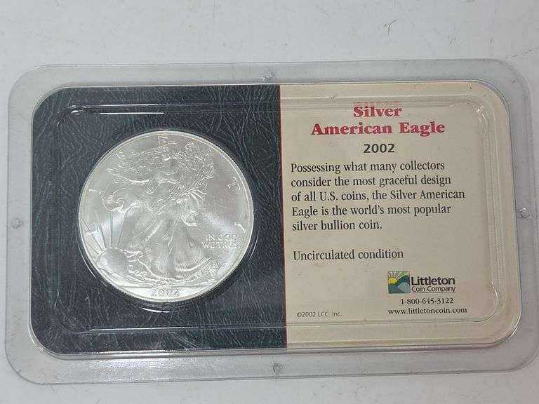 2002 Silver American Eagle image