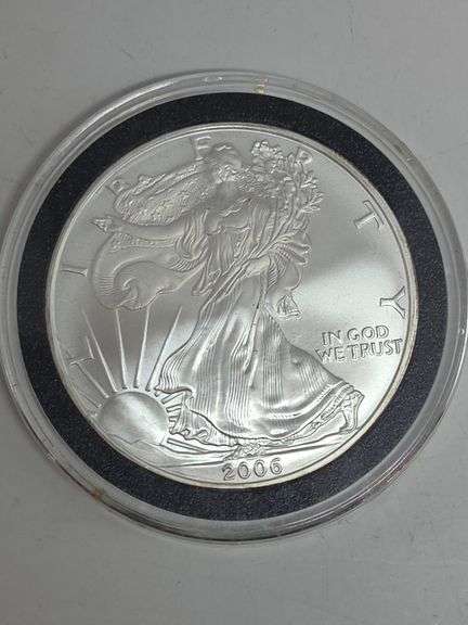 2006 Silver Eagle BU image
