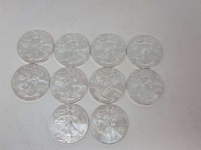 10 2014 Silver Eagles BU image