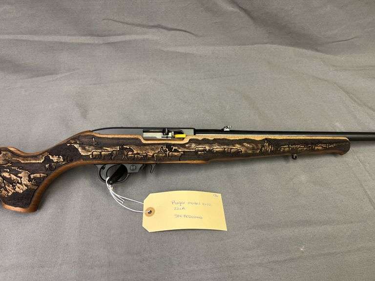 Ruger Model 10-22 22LR Rifle
