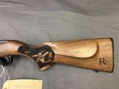Ruger Model 10-22 22LR Rifle