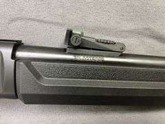 Rossi Model Rio Bravo .22lr Rifle