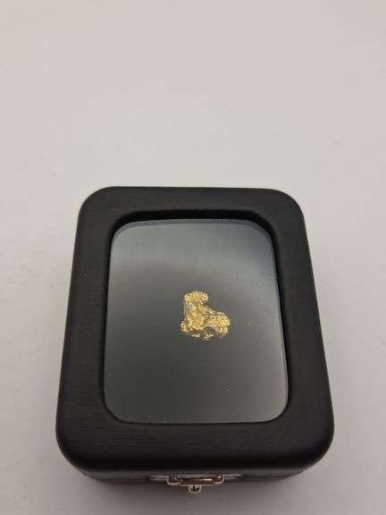 .101 oz 2.89 Gram Gold Nugget