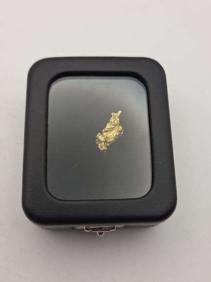 .093 oz 2.64 Gram Gold Nugget