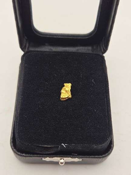 .041 oz 1.19 Gram Gold Nugget
