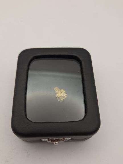 .049 oz 1.41 Gram Gold Nugget