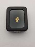 .067 oz 1.92 Gram Gold Nugget