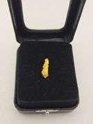 .067 oz 1.90 Gram Gold Nugget